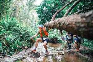 BIB: 
                            <button type="button" onclick="openModal(25374830)" class="btn btn-primary btn-sm float-right btn-popup" data-toggle="modal" data-target=".modal-high-quality">
                        <i class="fas fa-shopping-cart"></i> Add to Cart
                    </button>
                                            <button type="button" onclick="isThisMe(25374830, true)" class="btn btn-success btn-sm float-right btn-popup btn-isme hidden" data-toggle="tooltip" data-placement="bottom" title="นี่คือรูปของคุณใช่ไหม คลิกที่นี่เพื่อเอาเข้าอัลบั้ม">
                        <i class="fas fa-plus"></i> Add to album
                    </button>
                    <button type="button" onclick="isThisMe(25374830, false)" class="btn btn-warning btn-sm float-right btn-popup btn-isnotme hidden">
                        <i class="fas fa-ban"></i> Remove from album
                    </button>